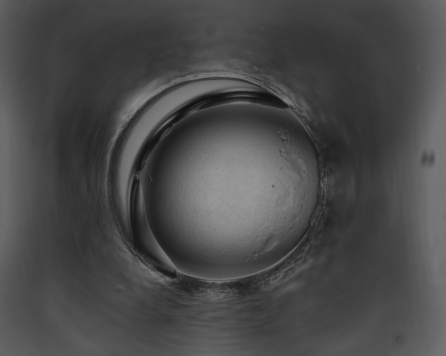 X0000090630248200707171454