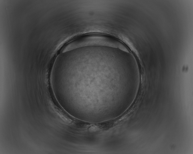 X0000090630249200707171454