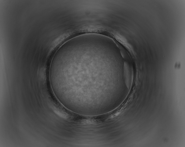 X0000090630250200707171454