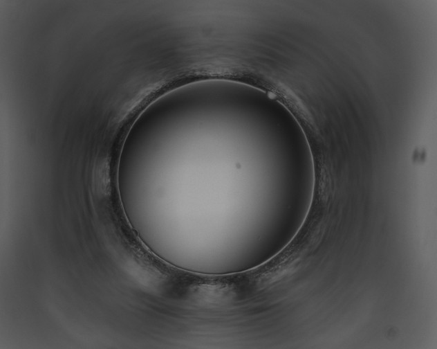 X0000090630251200707171454