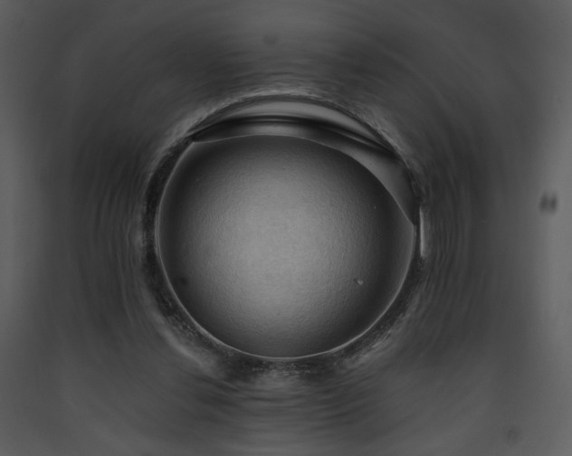 X0000090630252200707171454