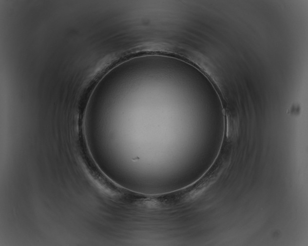 X0000090630253200707171454
