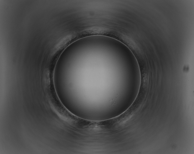 X0000090630254200707171454