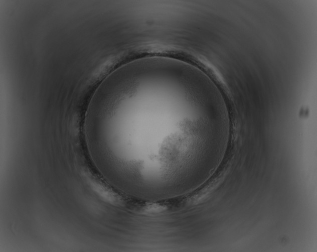 X0000090630257200707171454