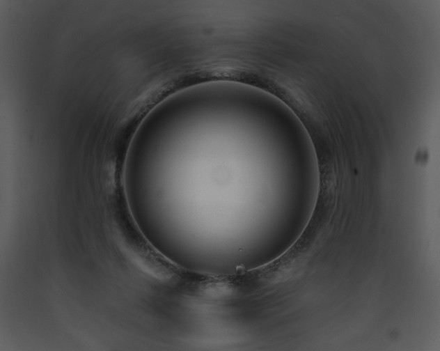 X0000090630262200707171454