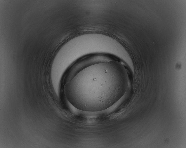 X0000090630264200707171454