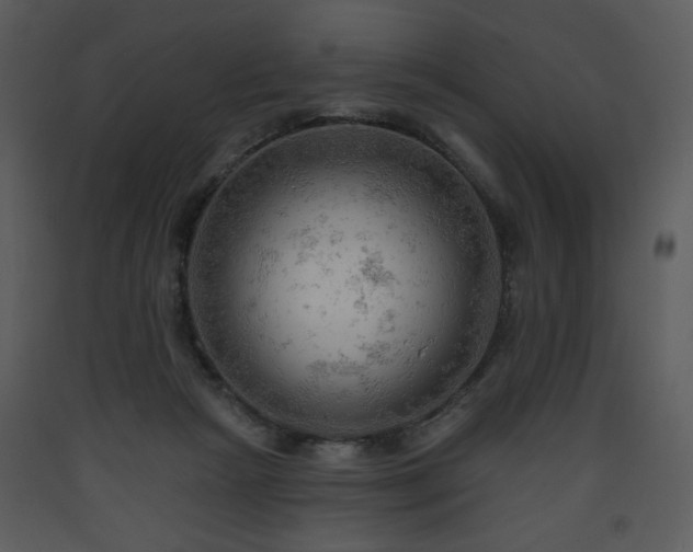 X0000090630265200707171454