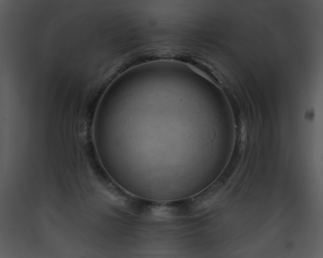 X0000090630268200707171454