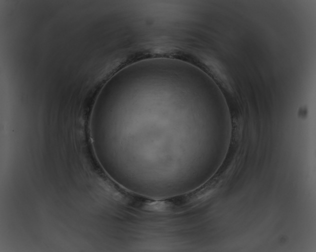 X0000090630269200707171454