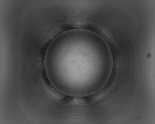 X0000090630270200707171454