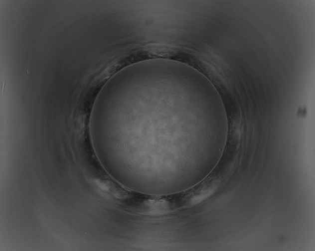 X0000090630271200707171454