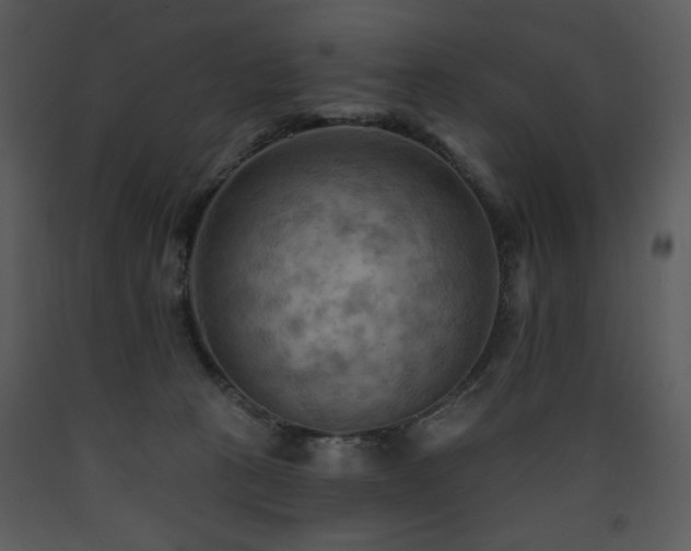 X0000090630273200707171454