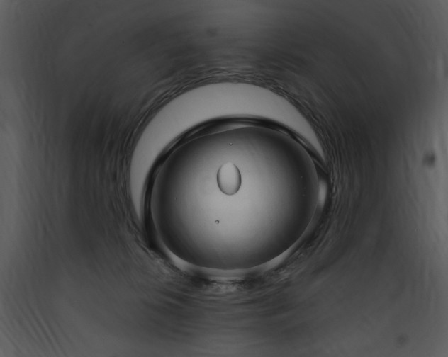 X0000090630276200707171454