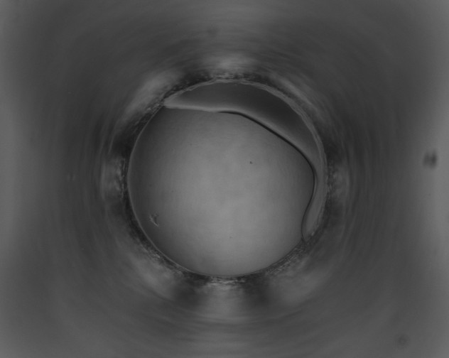 X0000090630280200707171454
