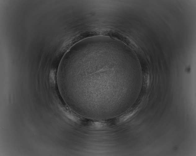 X0000090630286200707171454