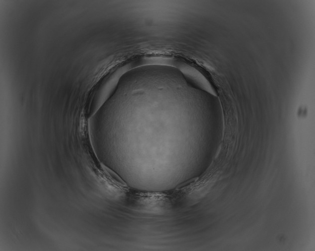 X0000090630288200707171454
