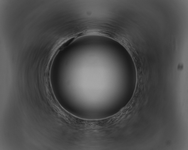 X0000090630289200707171453