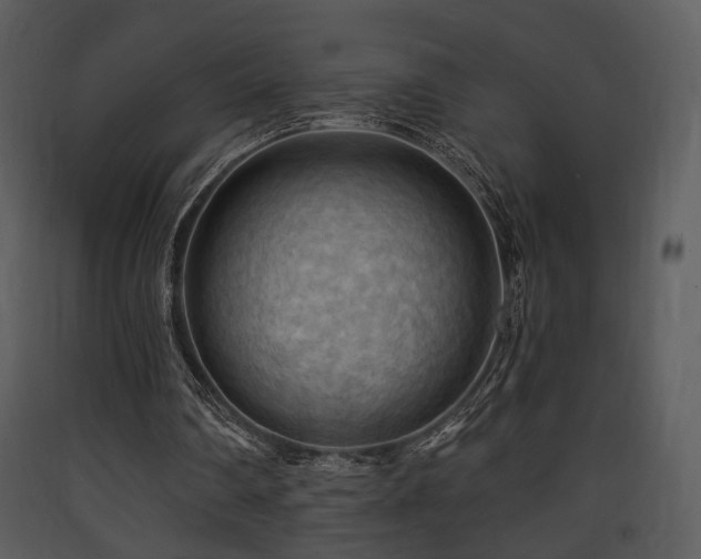 X0000090630290200707171453