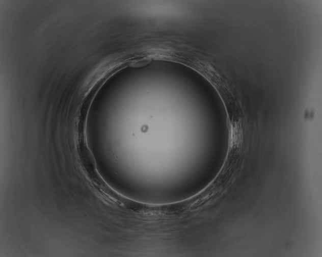 X0000090630291200707171453