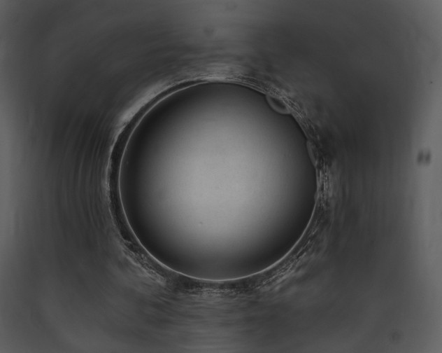 X0000090630292200707171453