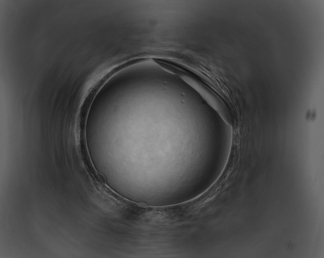 X0000090630294200707171453