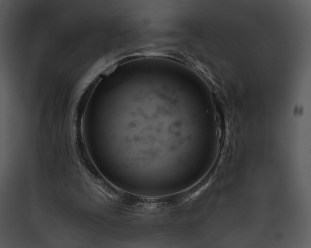 X0000090630295200707171453