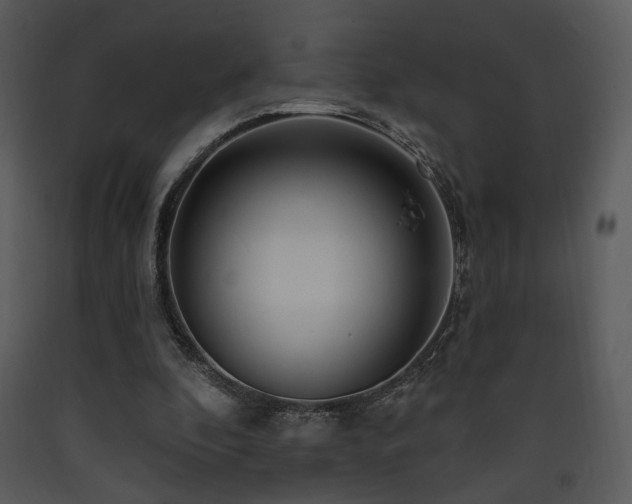 X0000090630296200707171453