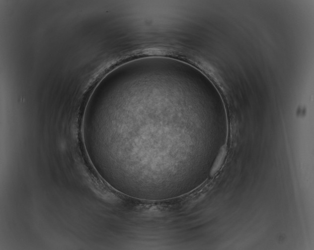 X0000090630297200707171453