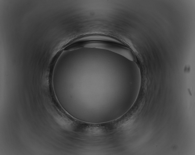 X0000090630299200707171453