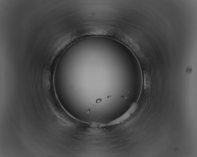 X0000090630300200707171453