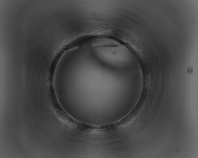 X0000090630303200707171453