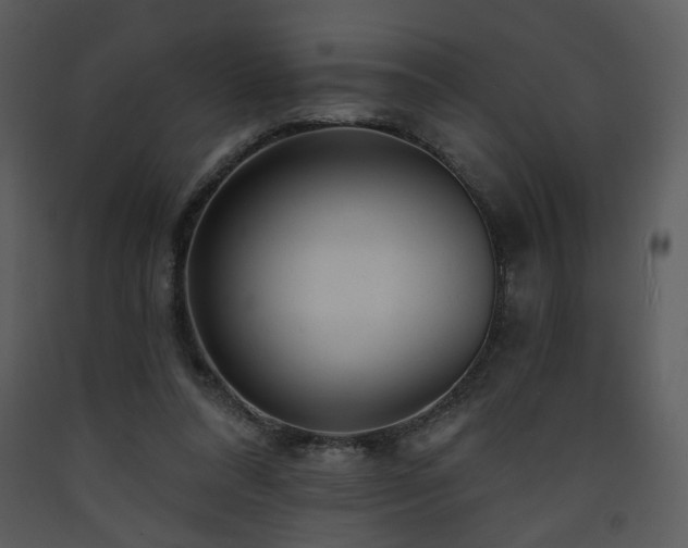 X0000090630304200707171453