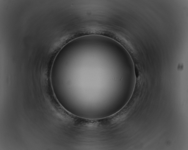 X0000090630306200707171453