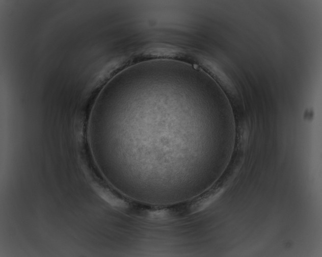 X0000090630309200707171453