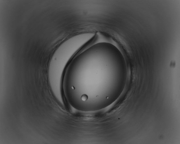 X0000090630313200707171453