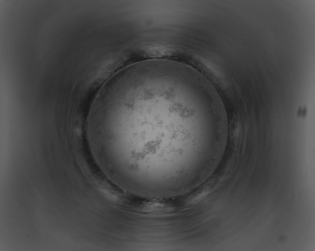 X0000090630315200707171453