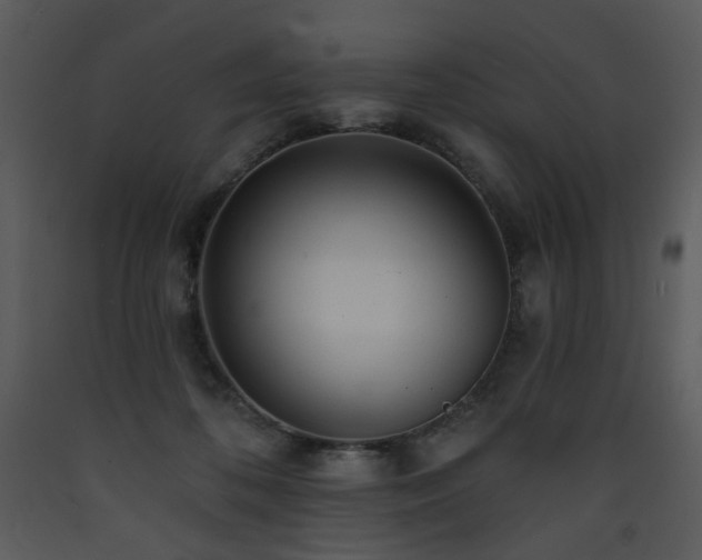 X0000090630316200707171453