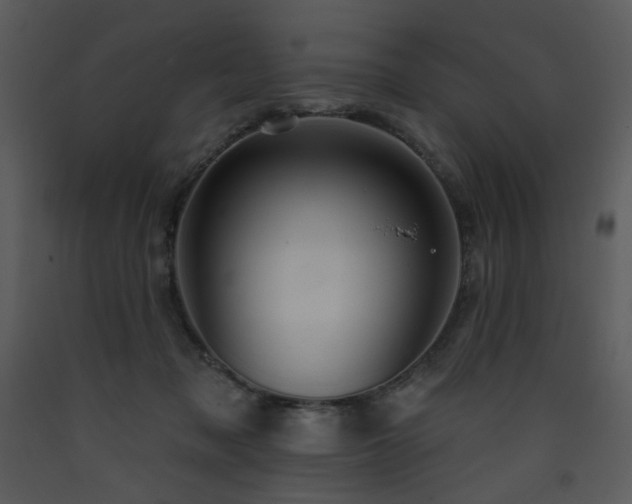 X0000090630317200707171453