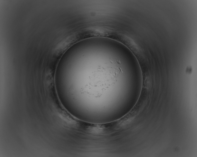 X0000090630318200707171453