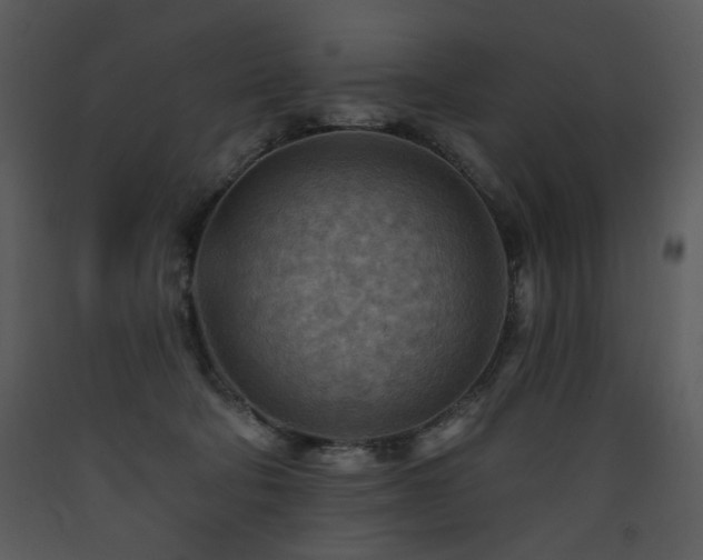 X0000090630322200707171453