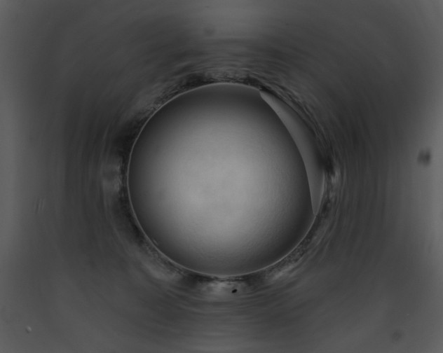 X0000090630323200707171453
