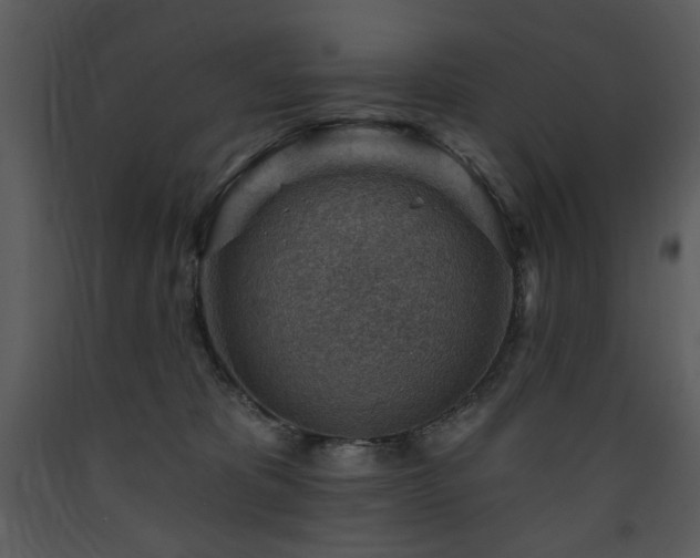 X0000090630325200707171453
