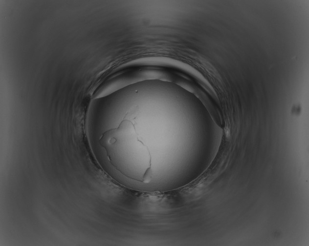 X0000090630329200707171453