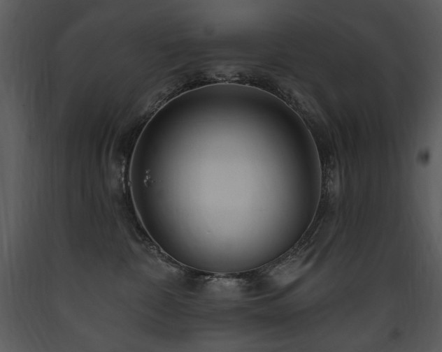 X0000090630332200707171453