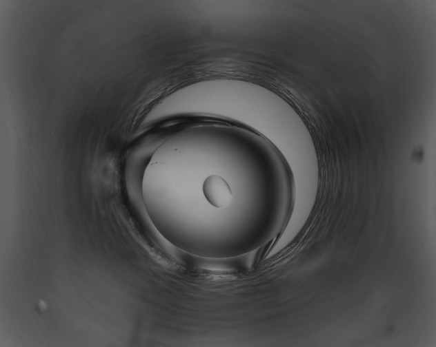 X0000090630333200707171453