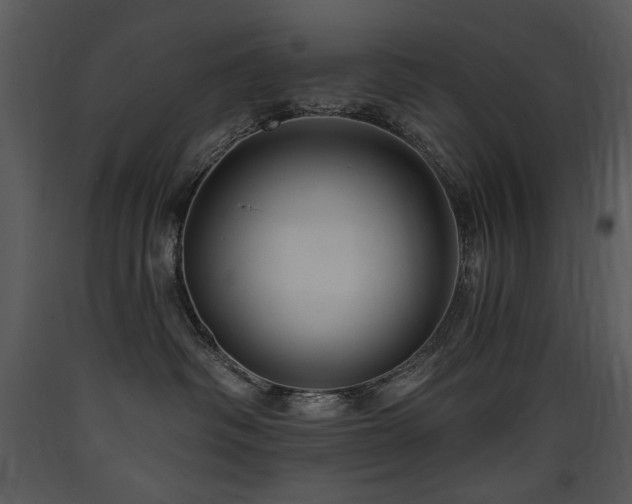 X0000090630334200707171453