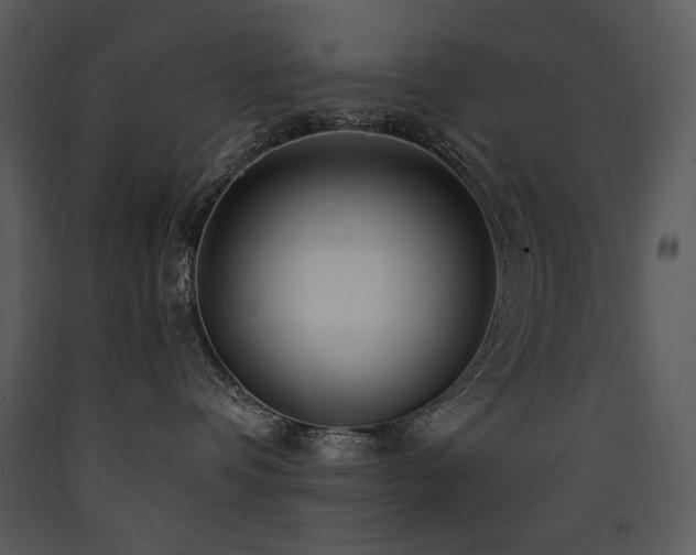 X0000090630336200707171453