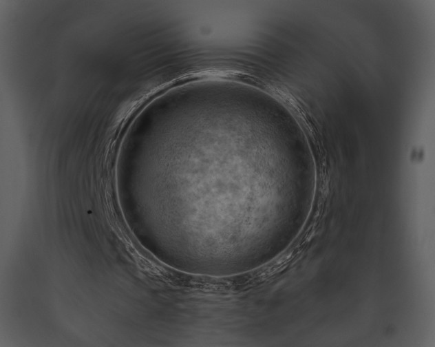 X0000090630337200707171452