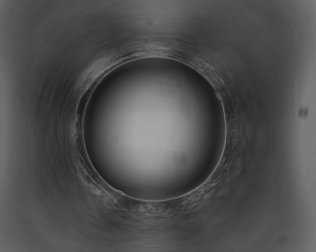 X0000090630338200707171452