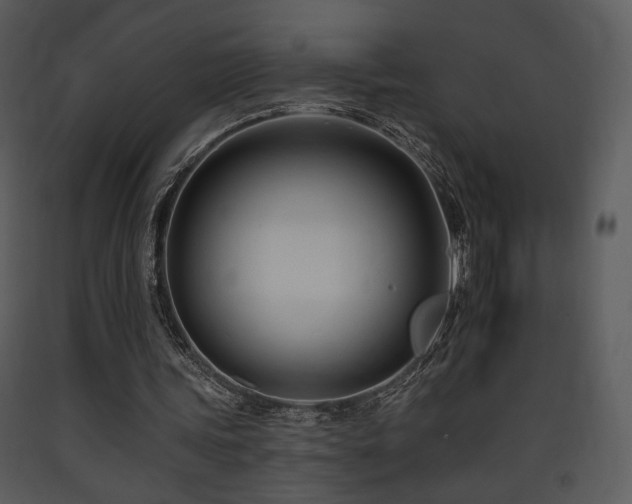 X0000090630339200707171452